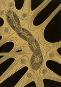 Organism